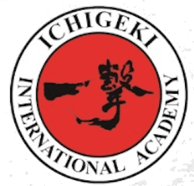 Ichigeki International Academy
